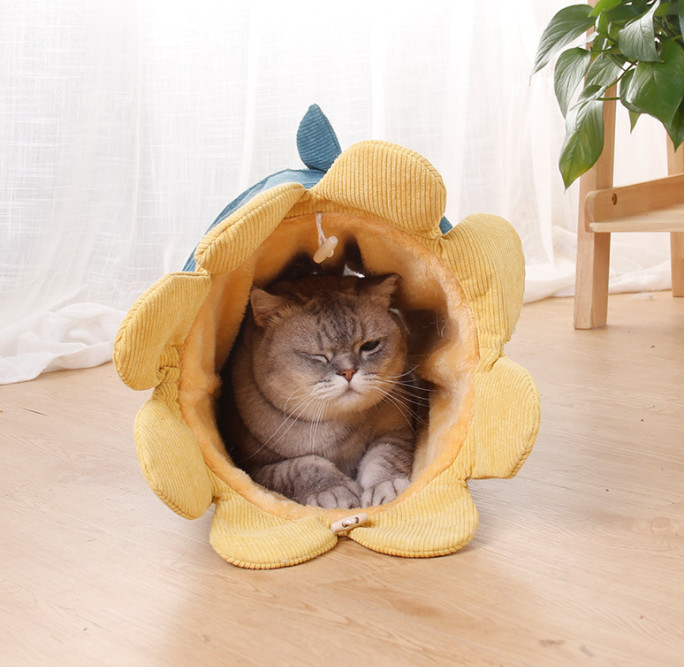 Best Collapsible Cat Tunnel For Large Cats For Indoor
