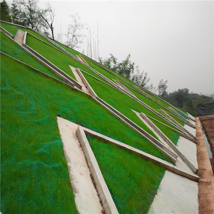 3D Geomat HDPE Plastic Net Mesh for Slope Protection Length 25m-50m/roll as Request