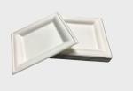 Disposable Dinnerware 10 Inch Square Sugarcane Pulp Plates