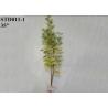 Buy cheap Green Yellow Eucalyptus Leaves Artificial Tree Branches Greenery Decor 90 CM Tall from wholesalers
