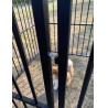 Buy cheap Large Outdoor Dog Kennel Heavy Duty Metal Frame Fence Dog Cage Outside Pen Playpen Dog Run House with UV & Waterproof from wholesalers