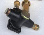 China Plunger 8DC9 105210-1931 For Automotive