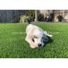 Buy cheap No Fading Lead-Free Non-Toxic Soft Fake Artificial Grass For Pets from wholesalers