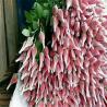 Buy cheap Mesh Packaging Sleeves White PE Extruded Rose Protection Bud Net from wholesalers