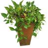 Buy cheap Outside Garden Metal Flower Pot Rusty Corten Steel Tapered Planter Box from wholesalers