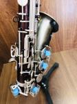 High-end saxophone, E flat, children, beginners, adults, playing musical