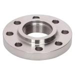 Industry Flange Connection Inconel 625 B564 N06625 ANSI B16.5 Round Head OEM
