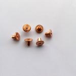 Round Head Stainless Steel Rivet Cold Heading For New Energy Vehicles