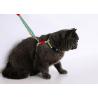 Buy cheap Kitty Travel Cat Harness And Leash For Walking Comfortable Polyester Padded Soft from wholesalers