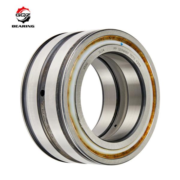 SL045024-PP-2NR Cylindrical Roller Bearing Single Row Roller Bearing 120x180x80m
