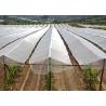 Buy cheap Water Resistance Outdoor Mosquito Netting , 1.3 * 1.3mm Small Shed Fly Insect Screen Mesh from wholesalers