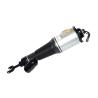 Buy cheap Air Suspension Strut Shock Front Right Air Shock / Strut VW Phaeton 3D0616039 3D0616040 from wholesalers