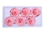 Dehydrated Eternal Long Lasting Roses In A Box Non-Toxic
