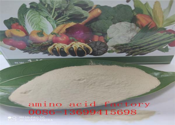 Buy cheap Free Amino Acid 80% Hydrolysed Soy Protein With REACH Registration from wholesalers