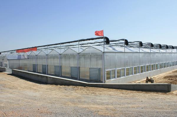 Buy cheap Stable Structure Galvanized Steel Greenhouse Single / Double Layer Available from wholesalers