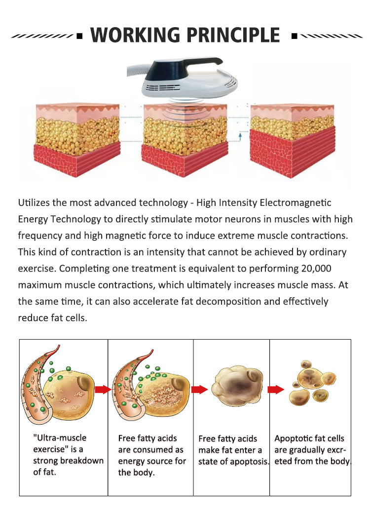 AC110V-220V Belly Fat Melting Machine Postpartum Abdominal Fat Burning Machine For Muscle Recovery