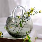 Transparent Custom Hemispherical Glass Flowerpot