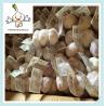 Buy cheap 2016 Cold Storage Fresh Red Garlic , fresh bulk package garlic from wholesalers