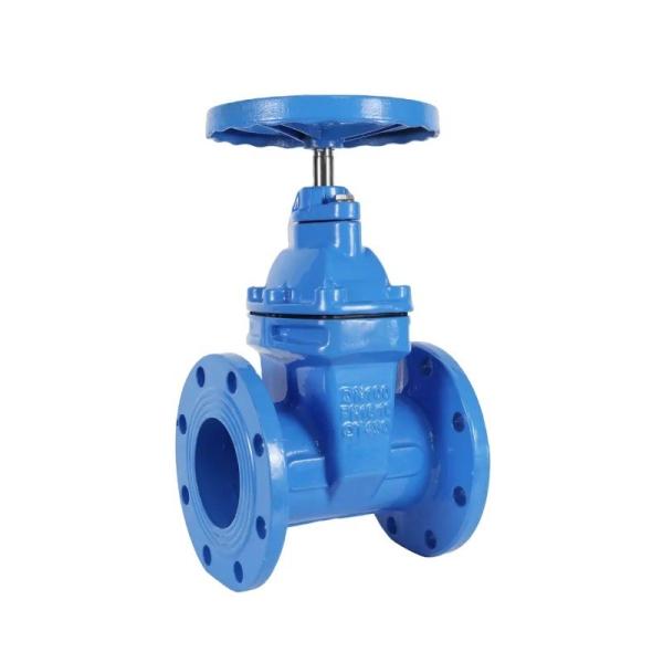 Complete Certificate 4 inch DN100 Ductile Iron Y Strainer Drain Valve for Smooth