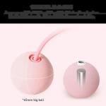 Heavy PVC Cordless Skipping Rope for Fitness Weighted Ropeless Skipping Rope