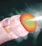 110V/220V Handheld Mini Steam Iron Brush for Fabric Clothes and Garment Steamer