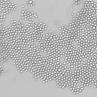 Buy cheap NHS Magnetic Polymer Beads Preactivated 2 μm 10 mg/mL 5 mL from wholesalers