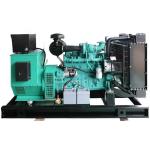 125KVA 100KW Cummins 6CTA8.3-G1 Gas Generator with 50/60hz Frequency in Russian