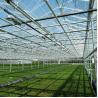Buy cheap Agriculture Plants Growing Multi Span Venlo Glass Greenhouse With Cooling Pad from wholesalers
