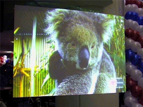 Buy cheap Transparent Advertising Hologram Holographic Projection Film Thickness 100-125 um from wholesalers