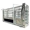 Buy cheap Hot DIP Galvanized Scale Cattle Handling Equipment Cattle Resists Corrosion from wholesalers