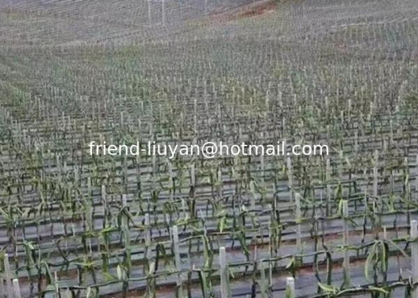 Buy cheap 100gsm Breathability Polypropylene Ground Cover Land Moisture Pp Woven Fabric from wholesalers