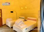 Resort Hotel 7x4.8m Geodesic Ellipsoid Glamping Tent