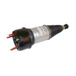 Rear Air suspension shock absorber air strut Jaguar XJ XJ8 XJR C2C41341