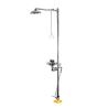 Buy cheap High Flow Emergency Shower And Eyewash 304 316 Stainless Steel Dual Spray Heads from wholesalers