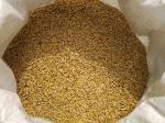 Oat Wheat Color Sorter Machine 7 Chutes 2 Years Warranty