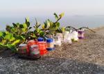 Disposable Plastic Shakers for Salt and Black Pepper Seasonings-Saving Time,