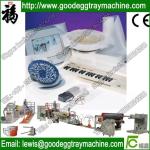 Top grade for underlayment EPE foam sheet extruder plant