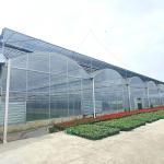 Plastic Film Agricultural High Quality Galvanized Pipe Multi-span Greenhouse