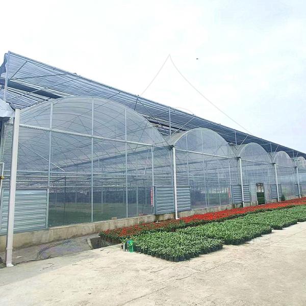 Buy cheap Multi-span Agricultural Plastic Film Vegetable Fruit Tunnel Greenhouse from wholesalers