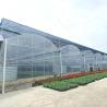 Buy cheap 30*10m Poly Tunnel Galvanized Frame Multi-span Agricultural Greenhouse For Tomato from wholesalers