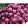 Buy cheap 5cm Blood Pressure Reducing Natural Fresh Onion from wholesalers