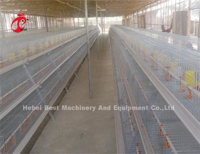 Hightop Chick Brooder Chicken Cage Of Poultry Chicks Ada
