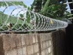 Hot Sale Stainless Steel Galvanized Razor Barbed Wire Length Per Roll In South