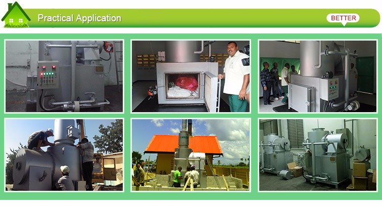 Animal Cremation Machine 1 and Waste Burning Function with Over 10 Years of Experience