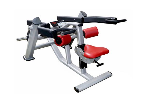 Buy cheap Electrostatic Spraying 300kg Seated Tricep Dip Equipment from wholesalers