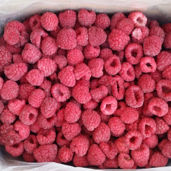 Buy cheap 2020 Hot Sell IQF Raspberry Whole 95/5 from wholesalers