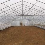 Single Span High Tunnel Greenhouse Single Layer Film For Tomatoes Agricultural