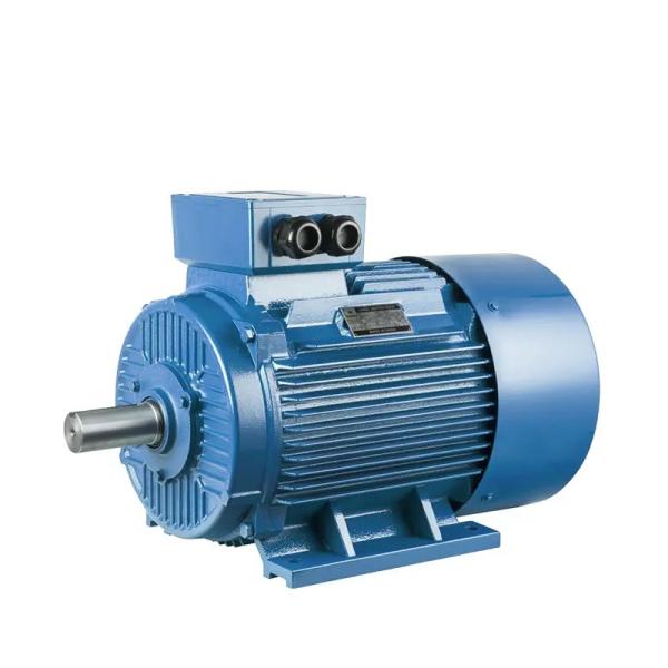 Buy cheap Stator Slip Ring And Squirrel Cage Induction Motor 3 Phase 2 Pole 4 Pole from wholesalers