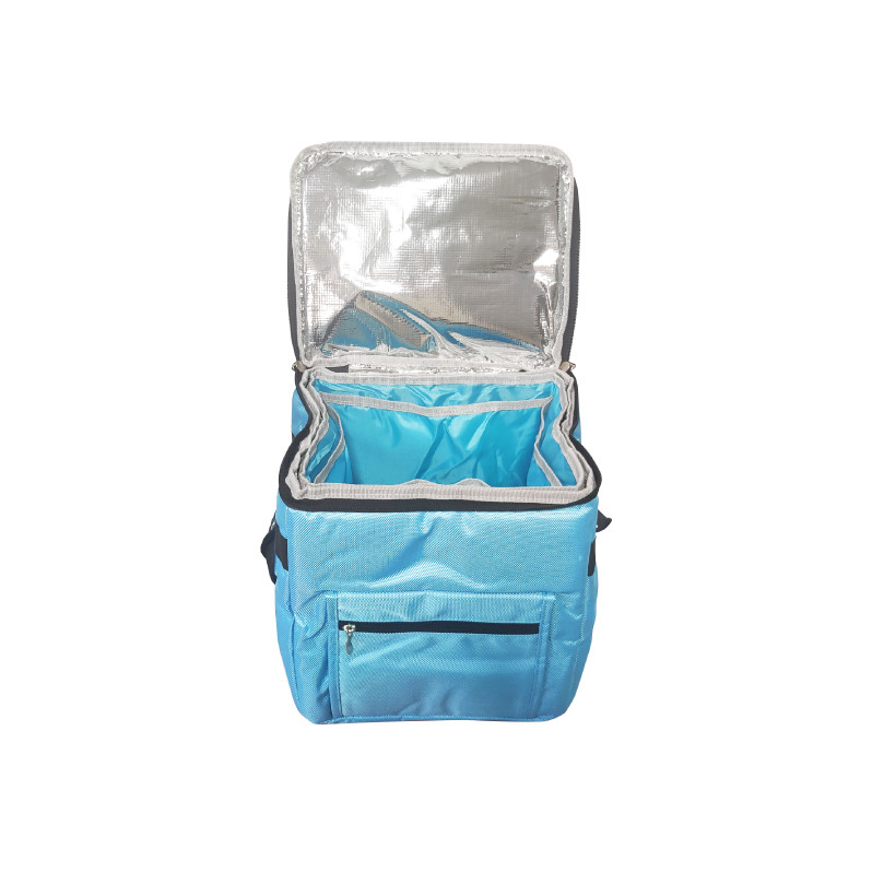 Emergency Blood Medicine Cooler Green Insulated Medication Travel Bag