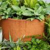 Buy cheap Decorative Metal Circular Flower Planters Corten Steel Cylinder Garden Pots from wholesalers